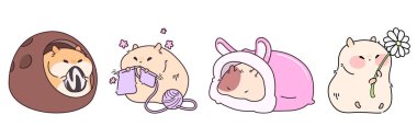 Beyaz arka planda sevimli kawaii hamsterları var. Evde tohum yiyen, örgü ören, uyuyan, çiçek tutan sevimli küçük hayvan, hayvanat bahçesi maskotu komik kemirgen hayvanların vektör çizimi