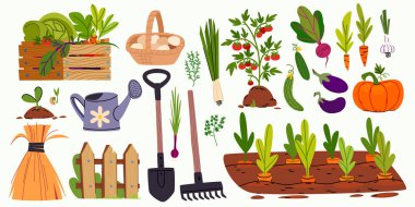 Bahçe aletleri ve sebzeler - tarım ekipmanlarının düz çizimleri, bitkiler ve hasat. Tahta sandık ve sepet yumurta, su kovası ve kürek, tırmık ve çit, saman yığını ve bahçe yatağı..