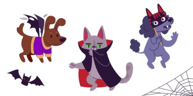Komik hayvan Cadılar Bayramı kostüm koleksiyonu. Yarasa kanatlı köpek, vampir pelerini giyen kedi, karnaval maskeli kaniş. Tatlı hayvan şenlikli bir kutlama için şeker mi şaka mı partisine hazır.