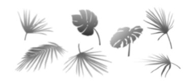 Gerçekçi yaprak siluetleri ile tropikal palmiye gölgesi örtülmüş - canavar ve fan şekilleri minimalist tasarım arka planları, fotoğraf efektleri veya yaz sunumu için doğal gölge desenleri oluşturur