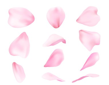 Çiçekli sakura gerçekçi düşen yapraklar. Yüzen pembe kiraz çiçekleri, dağınık tek yapraklar. Romantik tasarımlar için Japon bahar dekorasyonu unsurları, düğün kartları. Yumuşak botanik parçalar