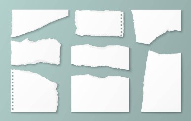 Yırtık kenarlı gerçekçi kağıt kırıntıları koleksiyonu ve nane arkaplanındaki yırtık dokular - beyaz defter kağıtları, şeritler ve albüm projeleri için gölgeli parçalar, kolaj tasarımı.