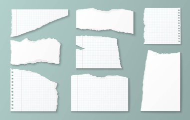 Yırtık kağıt parçaları koleksiyonu. Yırtık kenarlı, çizgili, sarmal delikli gerçekçi beyaz defter kağıtları. Günlük tutmak, kolaj yapmak, yaratıcı notlar ve hafıza tutmak için not defteri ögeleri.