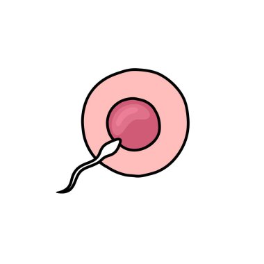 ovum ve sperm doodle simgesi, vektör illüstrasyon