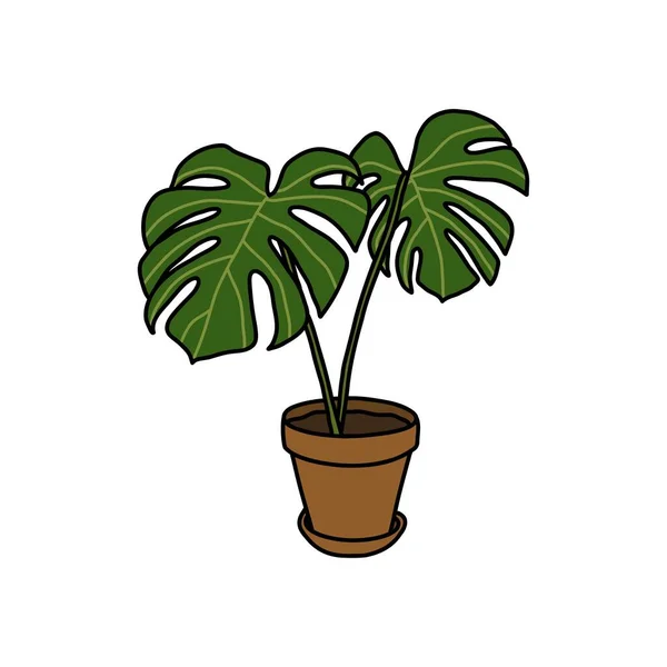 Monstera Plant Doodle Icon Διανυσματική Απεικόνιση — Διανυσματικό Αρχείο