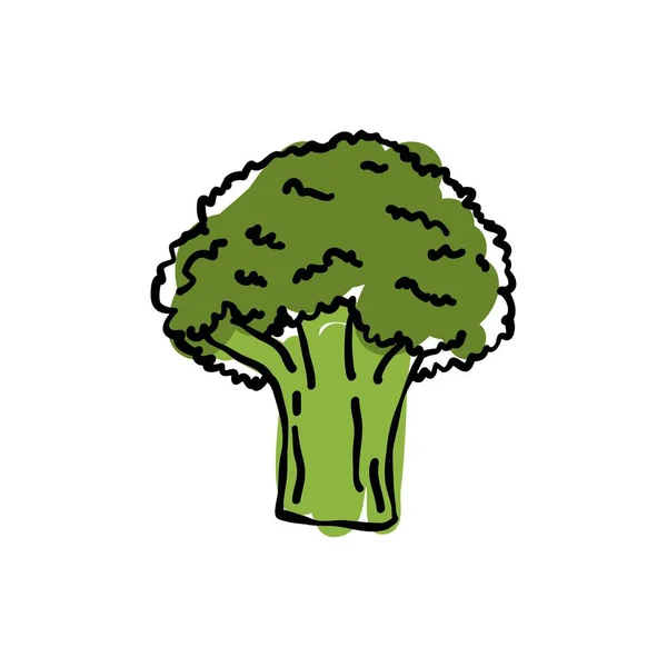 Ikona Bazgrołów Brokułów Ilustracja Wektora — Wektor stockowy
