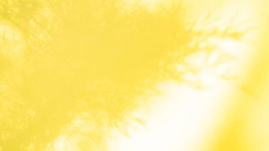 Soyut Arkaplan Gölgesi Yaprakları Pencere Ev Efekti, Üstüste İnşaat Yapısı Beton Beton Beton Duvarı Arkaplanı, Premium Tasarım Pankart Posteri Sunum Seyahati Yaz Tatili.