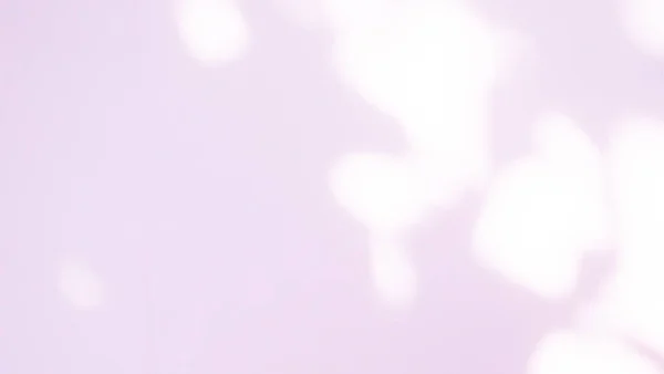 摘要背景阴影叶从窗房效应 叠层施工混凝土紫色水泥墙背景 高级设计造型横幅卡片海报介绍列季节概念 — 图库照片