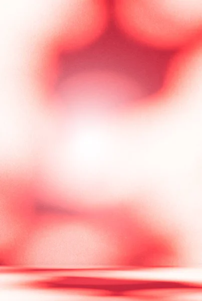 Blur Background Studio Room Φθινόπωρο Wall Shadow Leaves Plant Abstract — Φωτογραφία Αρχείου