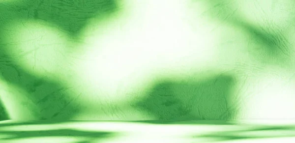 Размытие Фона Студия Осень Комната Настенными Листьями Завод Абстрактный Зеленый — стоковое фото