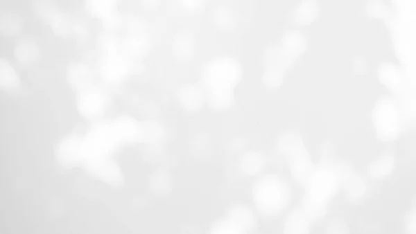 Абстрактний Фон Тіньове Листя Ефекту Вікна Будівництво Бетон Сірий Цемент — стокове фото