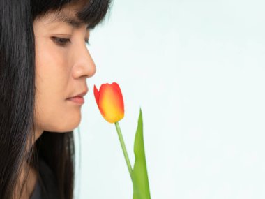 Yalnız Genç Kadın laleleri Yakından Kokan Laleler, Hassas Cilt İçin Costmetik, Tatlı Aşk Sevgililer Günü, Kırık Kalp ve Yalnızlık, Otantik Siyah Saç ve Teni Kız Asyalı Tayland.