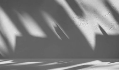 Shadow Overlay Abstract on Table Wall Studio Room Background,Grey Summer color Tropical with Silhouette Plant Leaves on Floor Counter Bar,Empty Design Food Kitchen Shelf Pattern Texture Platform.