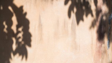 Shadow Ground Grey Orange Background,Texture Vintage Sun Light Overlay Leaves Plant Summer Tropical Autumn Nature on Wall House Construction Building,Floor Interior Room Retro Gray Paint Cement Loft.