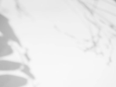 Duvar Arkaplanındaki Gölge Baharı, Soyut Kaplama Gölgesi Yumuşak Dış Yapraklar Ağacı, Pencere Binasının Doğa Örtüsü, Klasik Güneş Bitkisi Yaprağı Yerdeki Gri Boya Odası Çimento Yazı.