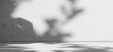 Shadow plant Background,Pattern Texture Abstract Linght Overlay on Table,Design Free Space Wall White Sun Interrior Room,Template Mockup Desk Shelf for Presentation,Modern Podium Shape Workplate.