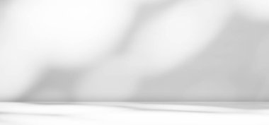 Shadow plant Background,Pattern Texture Abstract Linght Overlay on Table,Design Free Space Wall White Sun Interrior Room,Template Mockup Desk Shelf for Presentation,Modern Podium Shape Workplate.