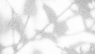 Shadow Spring on Wall Background,Abstract Shady Soft Exterior Leaves Tree,Nature Overlay from Window Building,Texture vintage Sun Light Plant Leaf Summer on Floor Grey Paint Room Cement Construction.