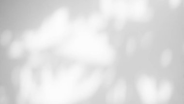 Duvar Arkaplanındaki Gölge Baharı, Soyut Kaplama Gölgesi Yumuşak Dış Yapraklar Ağacı, Pencere Binasının Doğa Örtüsü, Klasik Güneş Bitkisi Yaprağı Yerdeki Gri Boya Odası Çimento Yazı.