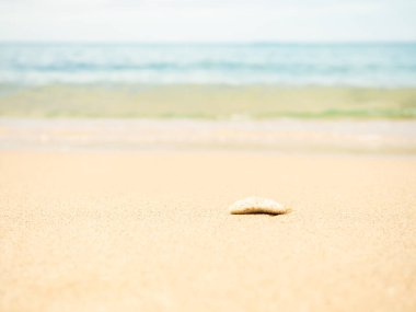 Stone on Sand Beach with Sea Summer Background,White Wave Water Blue Ocean at Coast Island,Beautiful Nature Seascape,Splash Fresh Tropical Landscape,for Tourism Vacation Travel Holidays Concept.
