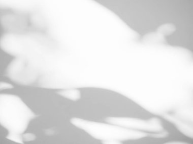 Duvar Arkaplanındaki Gölge Baharı, Soyut Kaplama Gölgesi Yumuşak Dış Yapraklar Ağacı, Pencere Binasının Doğa Örtüsü, Klasik Güneş Bitkisi Yaprağı Yerdeki Gri Boya Odası Çimento Yazı.