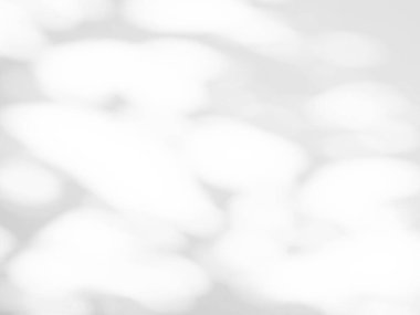 Gölge Çimento Zemininde Doğayı Bırakıyor Ev Arkaplanı, İnşaat Üzerine Işık Kaplaması Ağaç Vintage İnşaat Duvarı Zemini, Sonbahar ya da Yaz Arkaplan Odası.