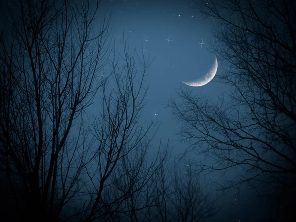 Ramadan Σύμβολα Υποβάθρου Πρόσφατη Σελήνη Αστέρι Στη Μαύρη Νύχτα Ηλιοβασίλεμα — Φωτογραφία Αρχείου