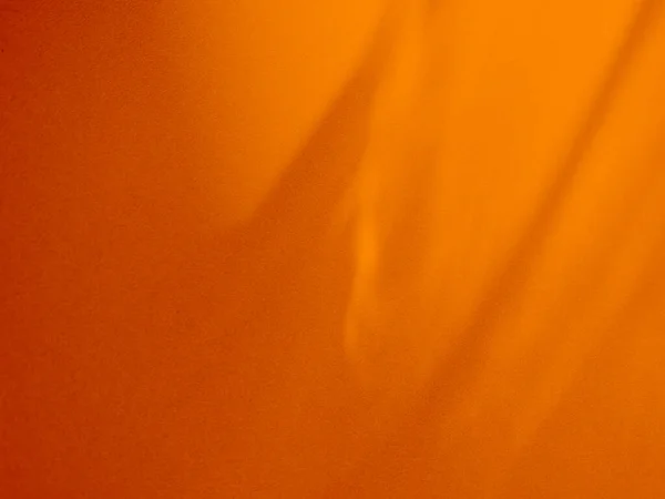 Abstract Orange Floor Summer Shadow Leaves Nature Cement Floor Room — Φωτογραφία Αρχείου