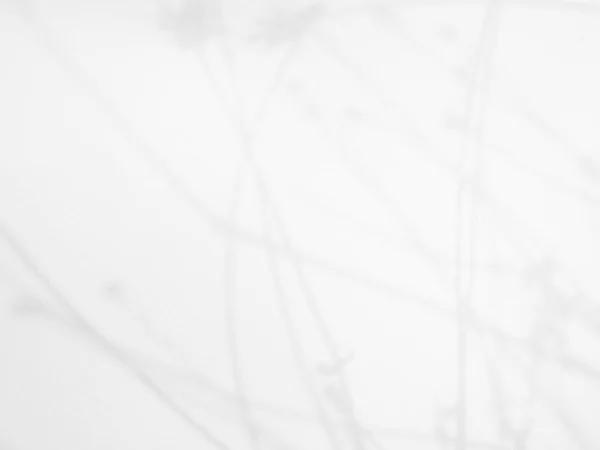 Абстрактне Світле Тіньове Листя Фон Накладка Текстуру Візерунок Цемент Будівництво — стокове фото