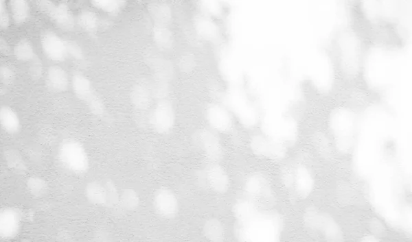 Абстрактне Світле Тіньове Листя Фон Накладка Текстуру Візерунок Цемент Будівництво — стокове фото