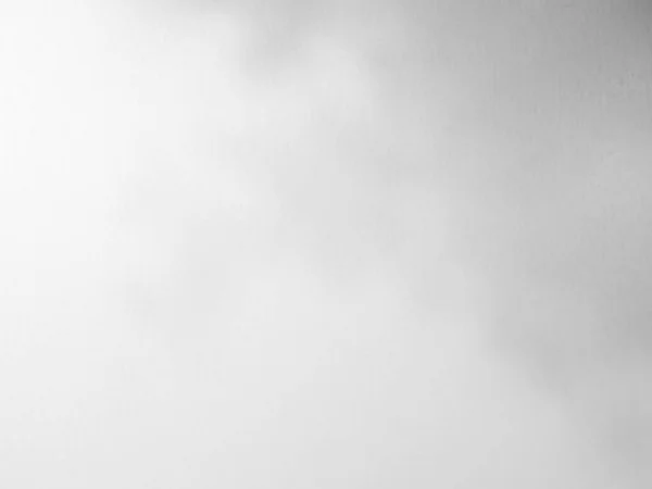 アブストラクト光影の葉背景 テクスチャパターンセメント構造窓の家 背景秋または夏 壁床グレー大理石石部屋のグランジにオーバーレイ — ストック写真
