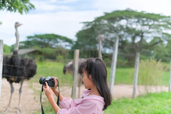 Women Taking Photo Ostrich Zoo Nature Girl Holding Camera Photography — стокове фото