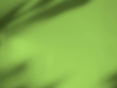 Soyut Arkaplan Yaz Baharı, Aydınlık Gölgeler Duvardaki Pencere Evinden Yeşil Yapraklar Duvarda Çimento Çimento Arkaplanı.