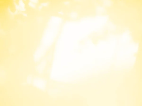 黄色の壁に影の葉植物とアブストラック夏の背景 ライトオーバーレイパステルグラデーション自然木秋の春床に 背景製品美容化粧品ディスプレイスペースブラーセメントコンクリート — ストック写真