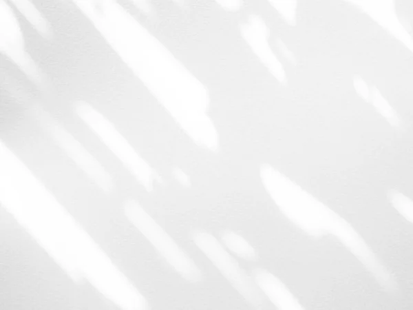 Schatten Hintergrund Abstraktes Licht Weiß Auf Wandboden Overlay Sonnenlicht Pflanzenblatt — Stockfoto