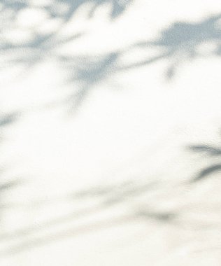 Gölge Arkaplanı, Soyut Işık Kaplaması Yaprak Çiçeği Yerler Duvarı, Güneş Işığı Yansıması Doğanın Çiçek Minimum Şekillendirmesi Yaz Sonbahar Arkaplanı, Bulanık desenli Mermer Döşeme Taşı.