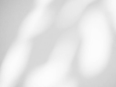 Gölge Yaprağı Arkaplanı, Duvara Işık Örtüsü Bulanık Çimento Beyaz Gri, Soyut Ağaç Arkaplanı Minimum Güneş Işığı Moklandırması, Zeminde Yansıma Yaprakları, Sonbahar Yaz Şablonu Moda Uzay Modeli.