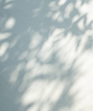 Soyut Gölge Yaprak Bitki Arkaplanı, Beyaz Duvar 'da Işık Kaplaması Nauter Kolu, Minimum Duvar Mokup, Mermer Çimento Duvarı Zemin Taşı, Şablon Güzellik Şablonu.