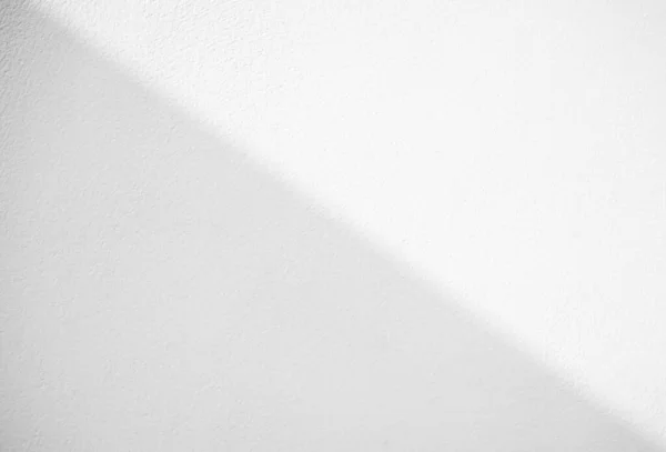 Schatten Hintergrund Abstraktes Licht Weiß Auf Wandboden Zement Marmor Pflanze — Stockfoto
