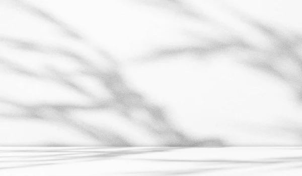 Фон Світло Біла Тінь Студія Кімната Настінний Стіл Естетичне Літо — стокове фото