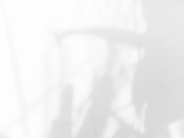 光影の葉壁の背景 オーバーレイアブストラクト植物から窓床背景ぼかしセメント大理石最小モックアップ テクスチャ夏の熱帯春日陰自然 グレースペース製品現代写真 — ストック写真