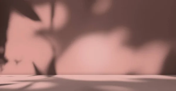 ピンクピーチカラースタジオ夏の背景 影の葉春上のテーブル製品化粧品美しさ 抽象オーバーレイ光花上の壁の床3D背景 空のテクスチャブラーセメント大理石ロフトキッチンルーム — ストック写真