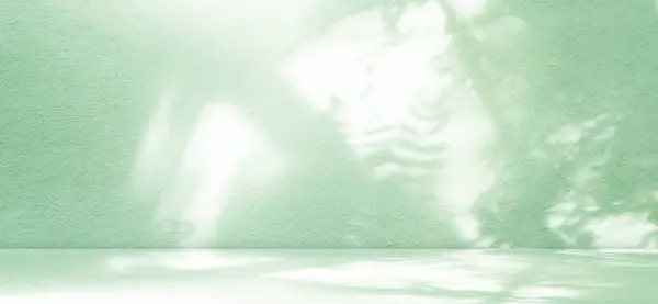 Зелена Тінь Студійний Фон Настільний Продукт Естетичний Косметичний Літній Тропічний — стокове фото
