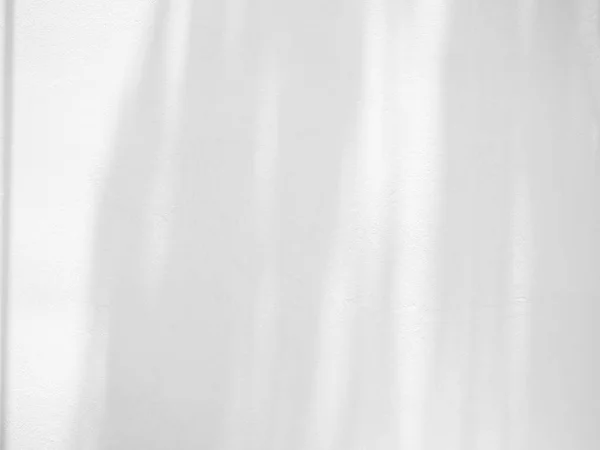 影の背景ライト ホワイトウォール 抽象的なオーバーレイ植物の背景 ぼやけたセメントの日光大理石のコンクリートミニマルモックアップ 窓からのグレイルームテンプレート製品写真 サンデーグラデーション3D — ストック写真