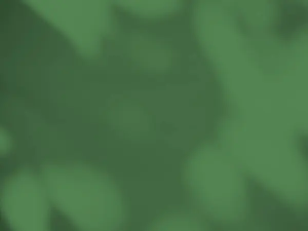 Yeşil Gölge Yaz Arkaplanı Şablon Model Ürün Arkaplanı Bulanık Duvar — Stok fotoğraf