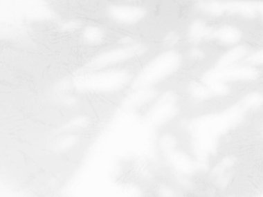 Gölge Yaprağı Arkaplanı, Soyut Bitki Bulanık Çimento Mermerine Beyaz Işık Bırakıyor, Güneş Işığı Kaplamalı Ağaç Doğa Doğa Doğa Dokusunu Duvara Kaplıyor Pencereden Minimum Şekil Şablon Arkaplanı Boşluğu.