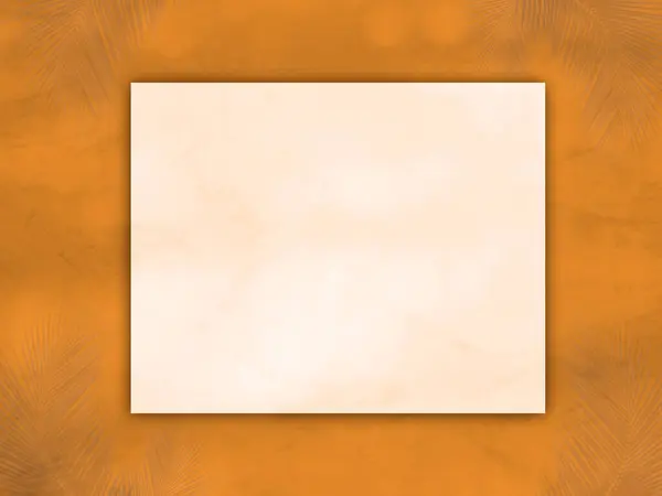 Frame Summer Background Abstract Shadow Leaf Orange Wall Floor Empty — Stock Photo, Image