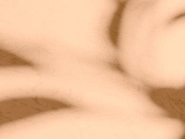 Bej arkaplan gölgesi bitki dokusu Yaprak Ağaç Aydınlık Duvarı Soyut Pastel İki Ton Bulanık Çimento Mermer Beton Pencere Gradyan Modifiye Güneş.