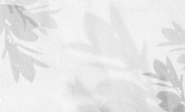 Gölge Yaprak Bitkisi Arkaplanı, Beyaz Kaplama Doğanın Yaprakları, Gül Yaprağı, Işık Duvarı Soyut Güneş Işığı Özeti, En Düşük Şekil Siluet Ağaç Şablonu Çiçek Tonu Çiçek Tonu.