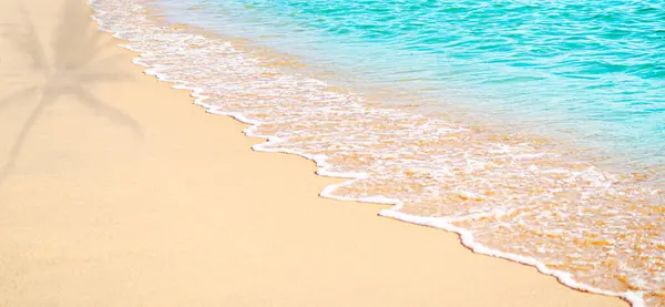 Sahilde Dalga Denizi Sahilde Kum Arkaplanı, Mavi Okyanus Yazı Tropikal Doğa Suyu Sahil Adası Sahil Sahili Görünümü Yüzeyi Aydınlık Palmiye Ağacı Turizm İçin Güzel Deniz Burnu.